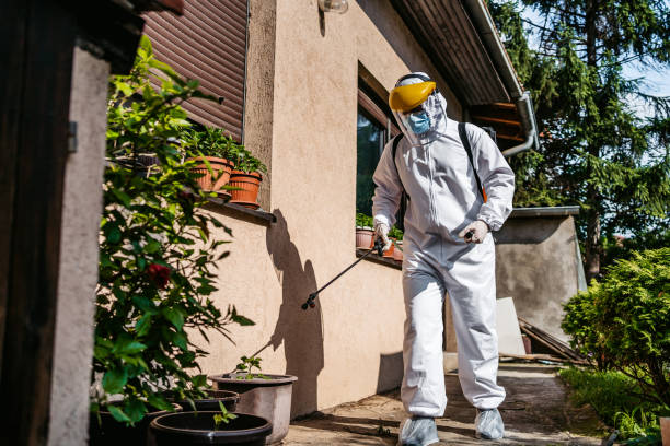 Best Wasp Removal Services  in Gouldtown, NJ