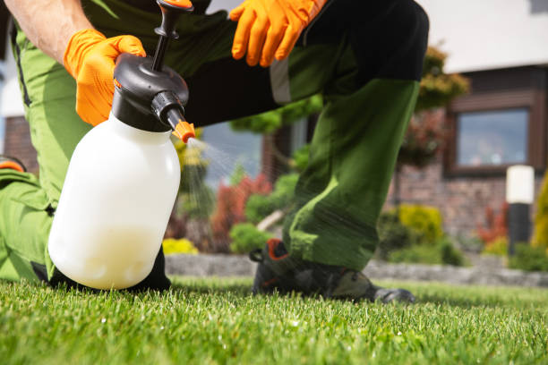 Best Affordable Pest Control Services  in Gouldtown, NJ